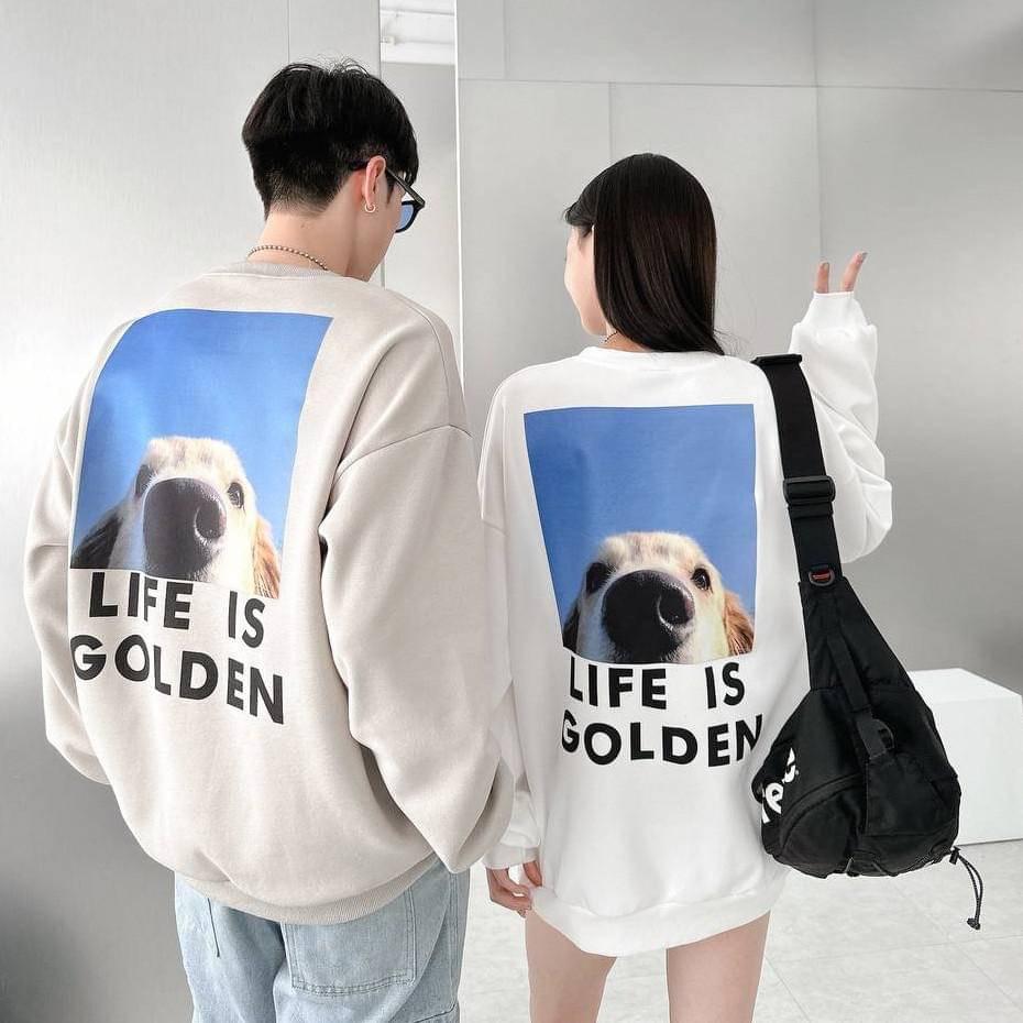 #C179 Life is Golden Sweatshirt - Idiot Sandwich HK -