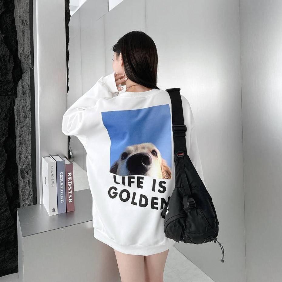#C179 Life is Golden Sweatshirt - Idiot Sandwich HK -
