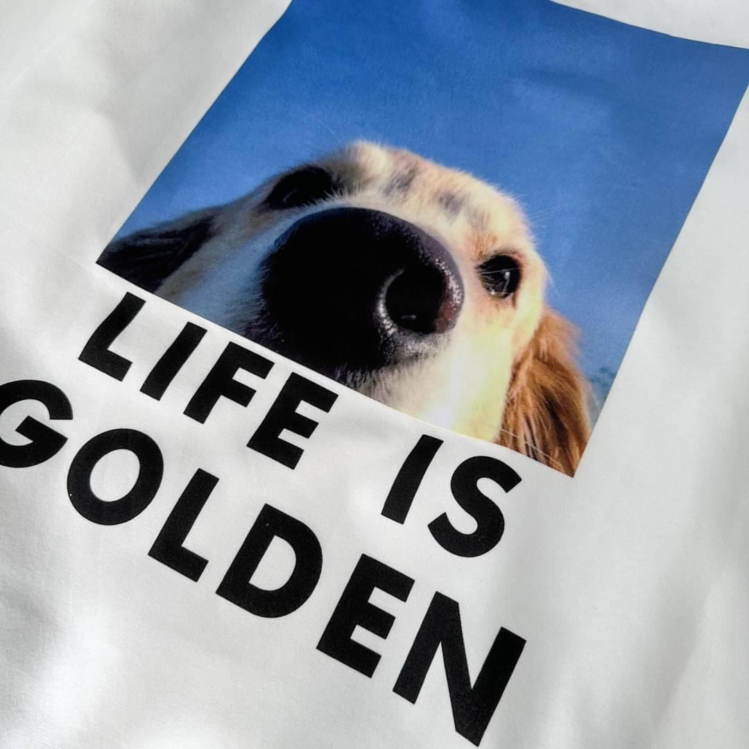 #C179 Life is Golden Sweatshirt - Idiot Sandwich HK -