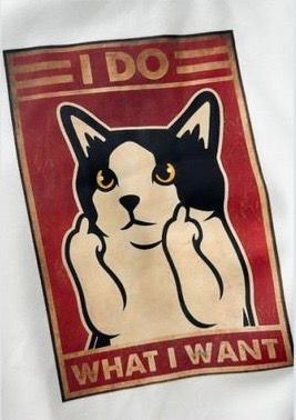 #C193 'I DO' Cat Sweatshirt - Idiot Sandwich HK -