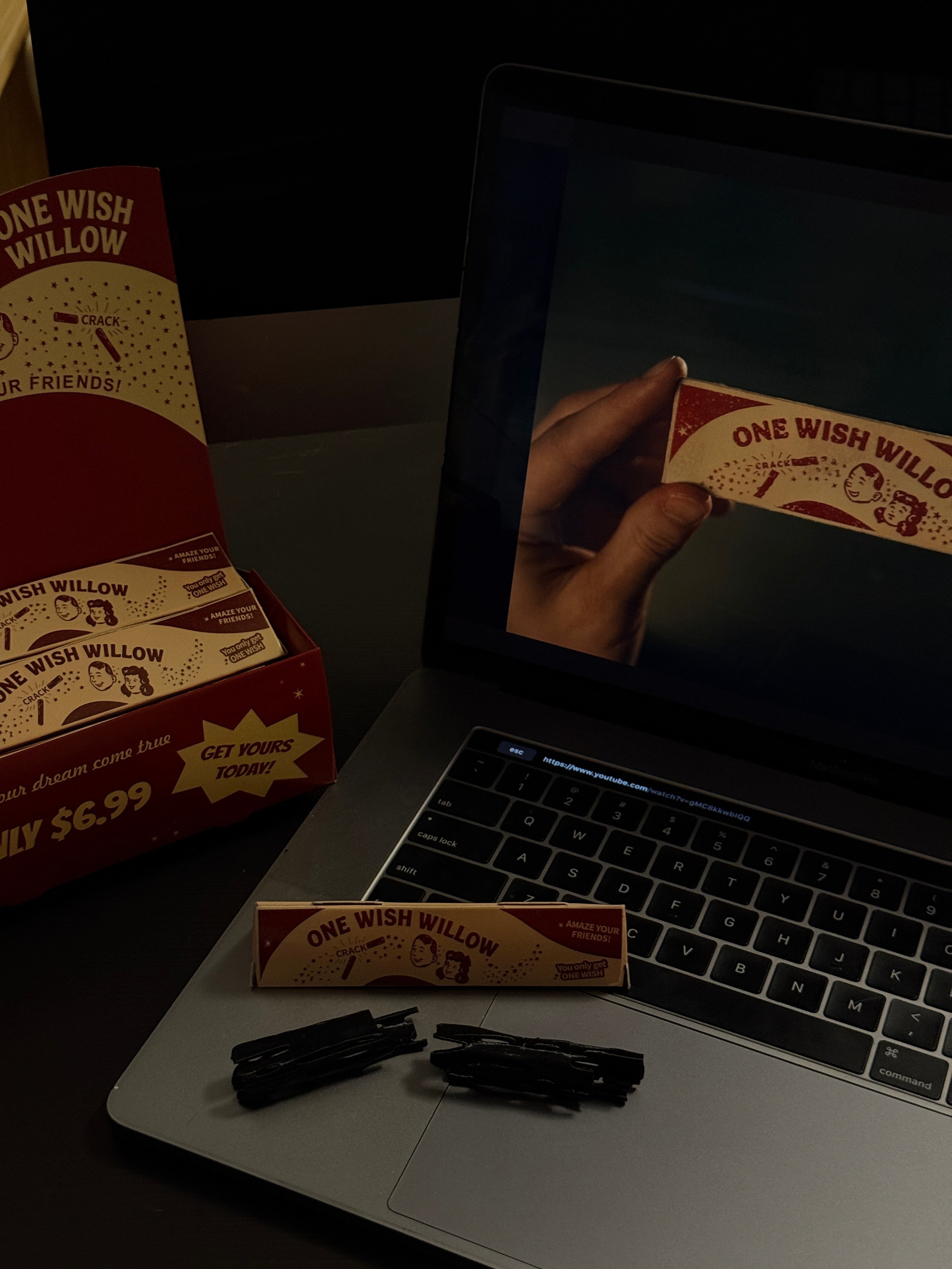 #IS219 One Wish Willow