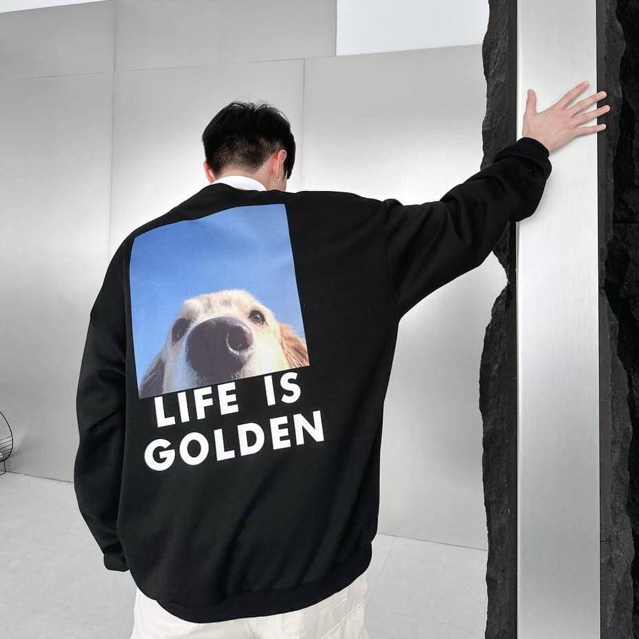 #C179 Life is Golden Sweatshirt - Idiot Sandwich HK - 