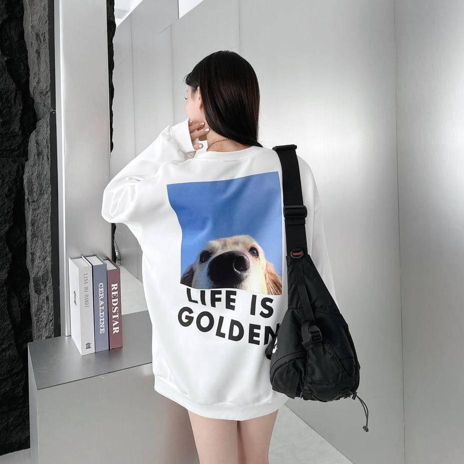 #C179 Life is Golden Sweatshirt - Idiot Sandwich HK - 