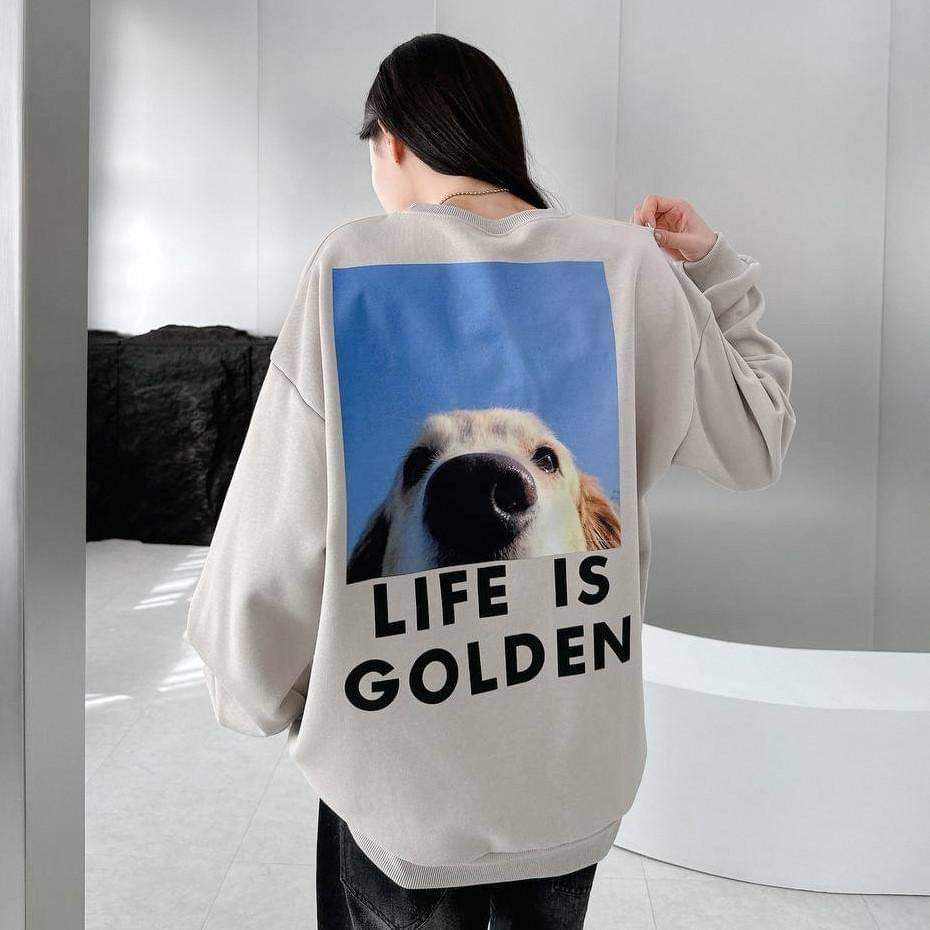 #C179 Life is Golden Sweatshirt - Idiot Sandwich HK - 