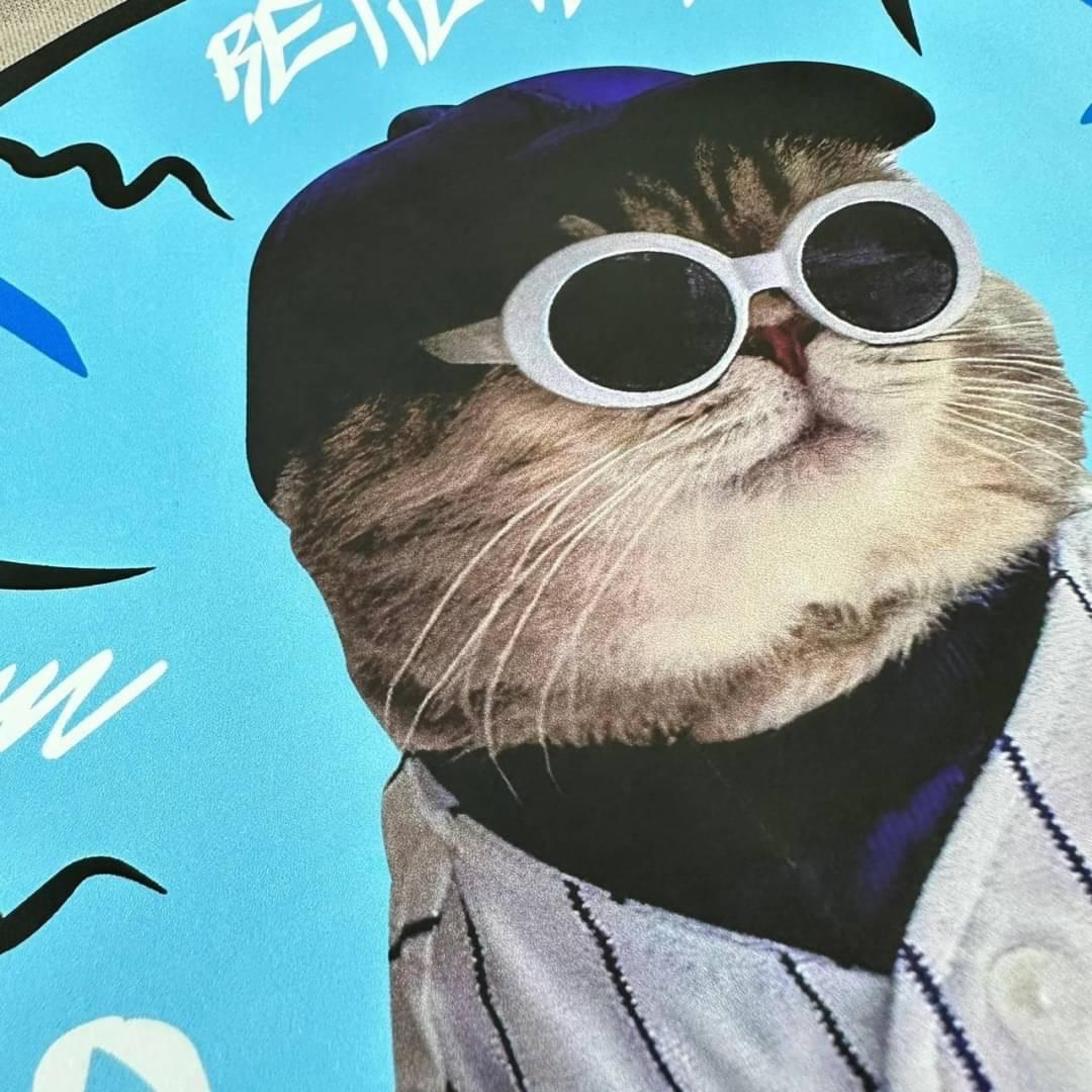 #C17 Baseball Cat T-shirt - Idiot Sandwich HK-
