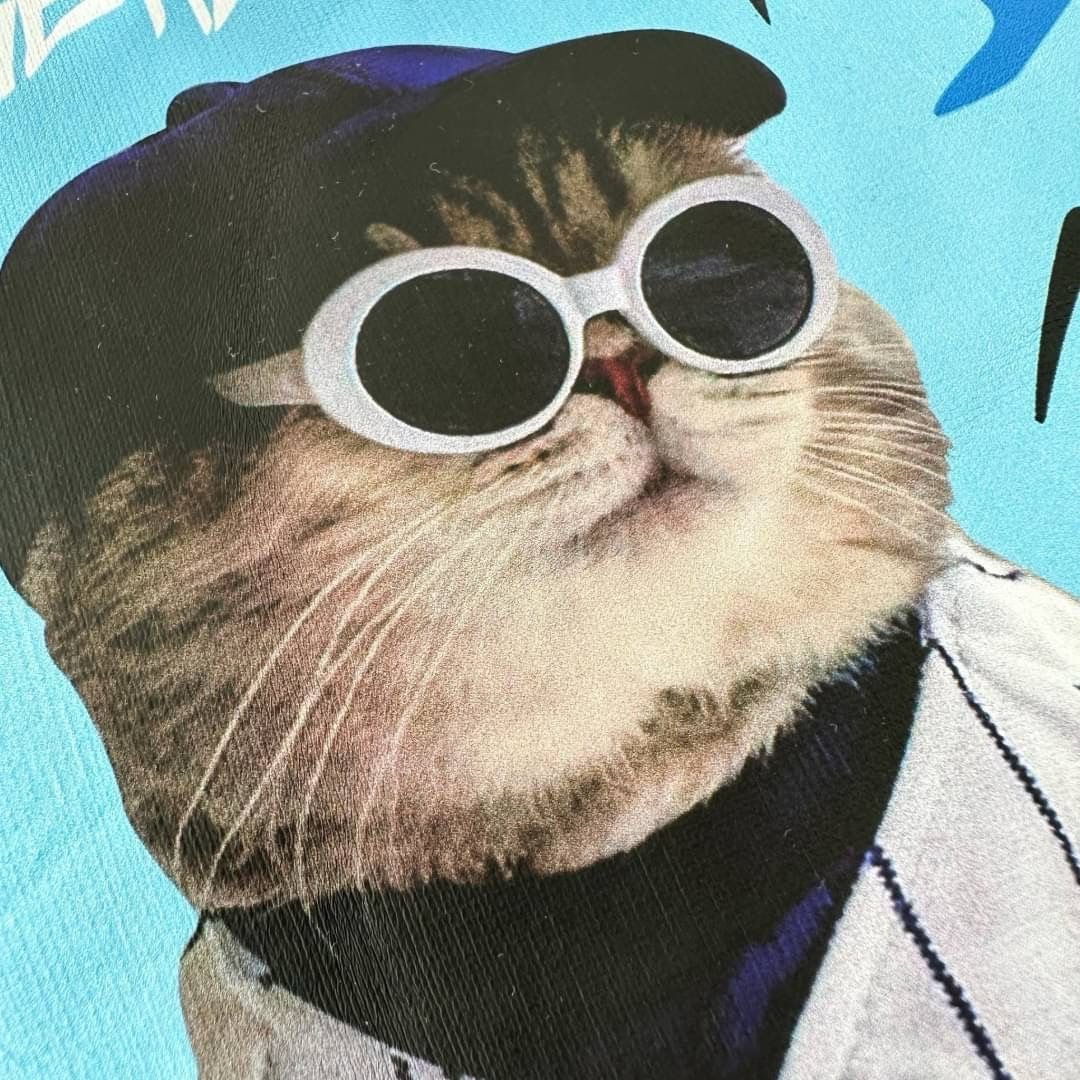 #C41 Baseball Cat Sweatshirt - Idiot Sandwich HK-